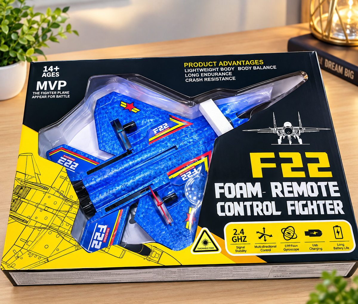 Remote Control Airplane